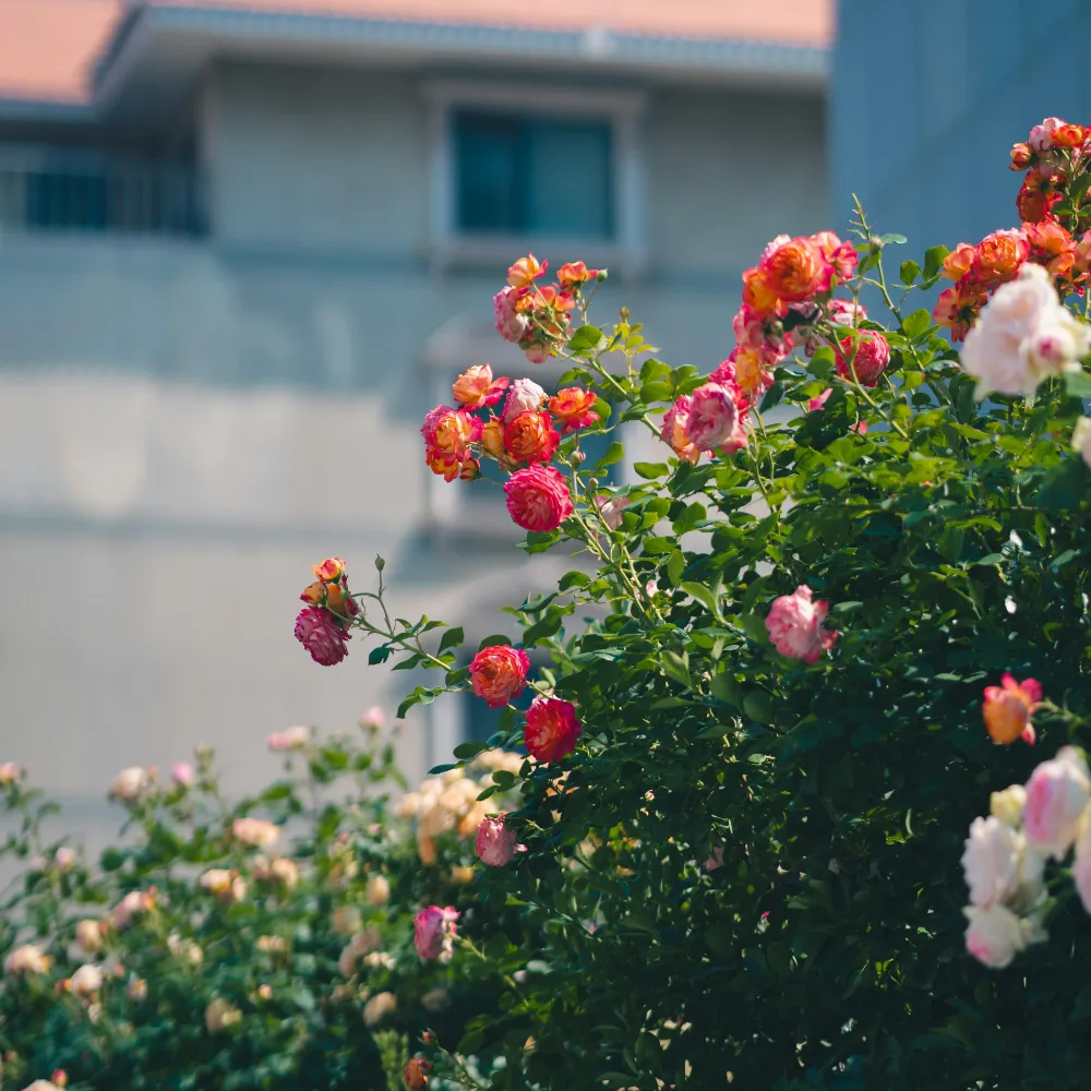 ONEALL LIFE-後續關懷